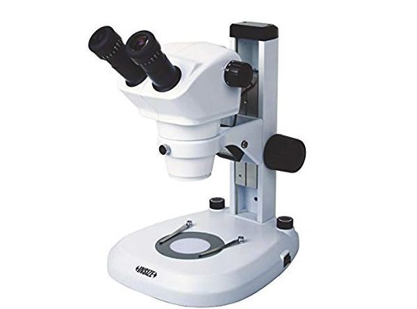 Microscopio digital